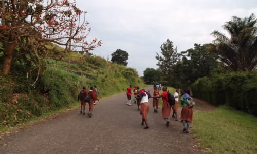 Fort portal