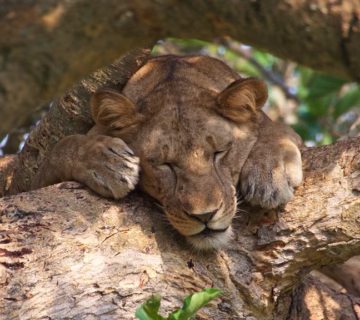 48 Hours of Wildlife, Boats and Breathtaking Vistas: