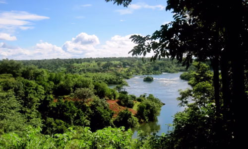 Jinja