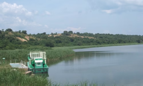 Kazinga.