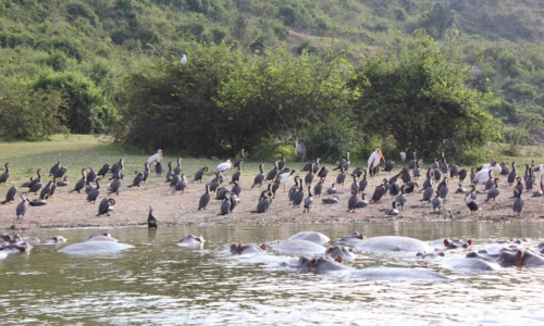 Kazinga Channel