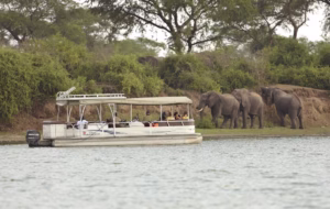 Queen Elizabeth National Park Entry Fees: Complete 2026 Queen Elizabeth National Park Entry Fees: Complete 2026 Guide