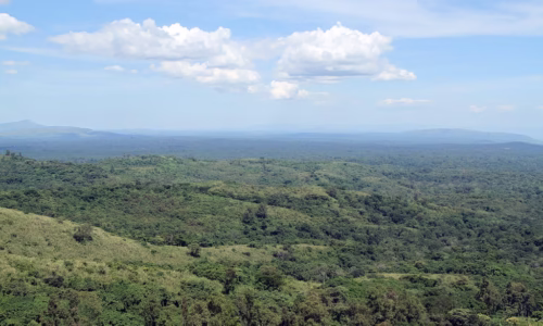 Kibale National Park