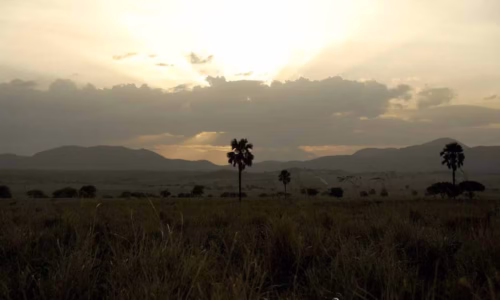 Kidepo Valley National Park2211