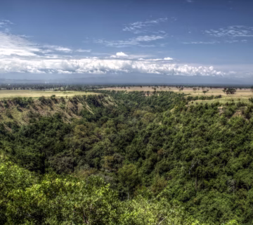 Kyambura Gorge Chimpanzee Tracking: Uganda Exclusive