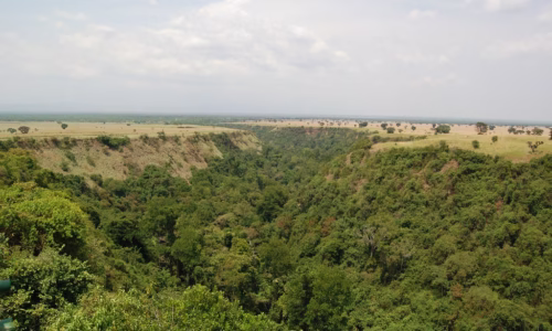 Kyambura gorge_files