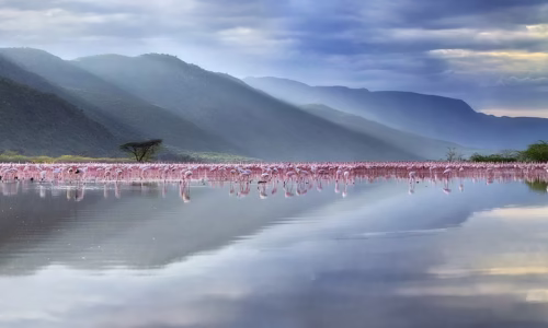 Lake Bogoria