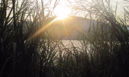 Lake Bunyonyi