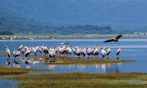 Lake Manyara National Park