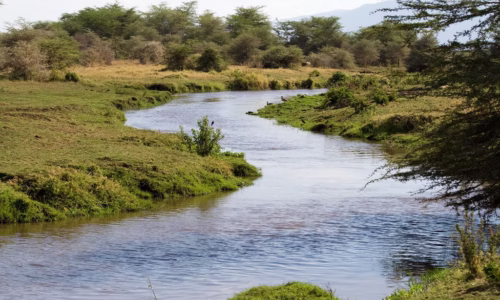 The flow of lake manyara