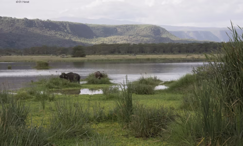 Lake Manyara waters_files