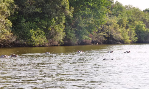 Lake Mburo National Park