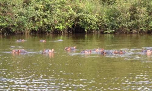 Lake Mburo National Park