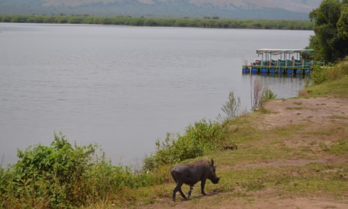 Lake Mburo National Park2