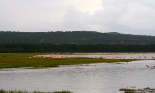 Lake Nakuru