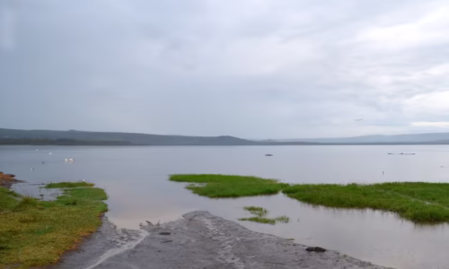 Lake Nakuru78