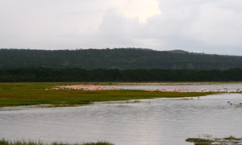 Lake Nakuru8