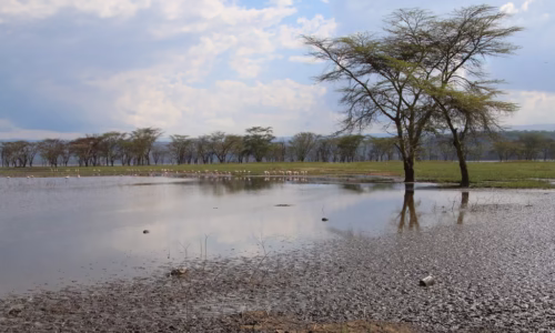 Lake Nakuru_