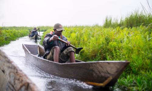 Mabamba Swamps.
