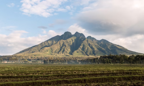 Mount Bisoke