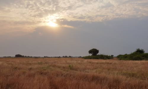 Queen Elizabeth National Park.