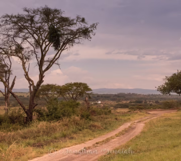 Road Conditions and Vehicles in Uganda and Rwanda