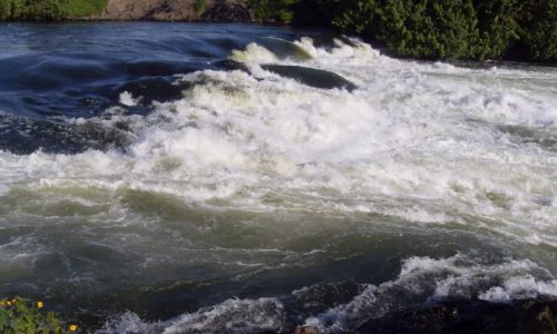 River Nile
