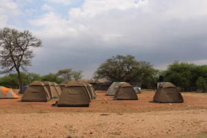 Is Tanzania Safe for Tourists? Everything You Need Is Tanzania Safe for Tourists? Everything You Need