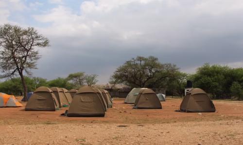 Serengeti Camp