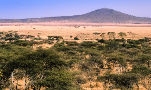 Serengeti National Park