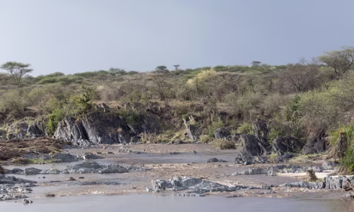 Serengeti (Seronera2