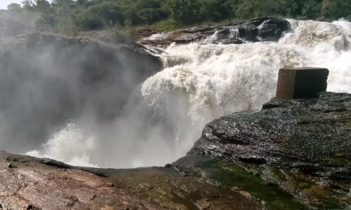 Uganda Murchison