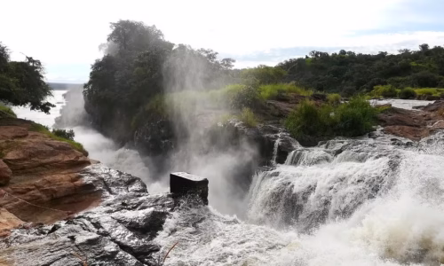 Uganda Murchison33