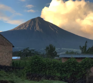 Volcanoes National Park Gorilla Trekking Packages: