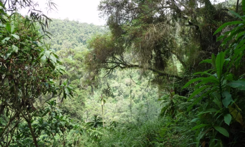 Volcanoes National Park3