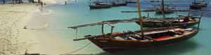 From Serengeti to Zanzibar: Tanzania Unreal Beauty From Serengeti to Zanzibar: Tanzania Unreal Beauty