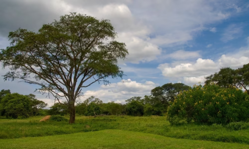 Ziwa Rhino Sanctuary