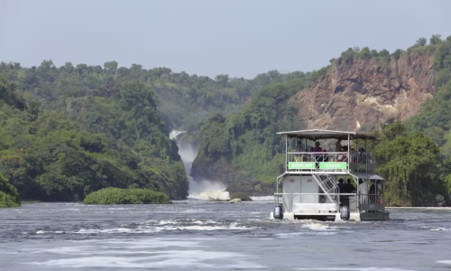 boat cruise in Murchison Falls