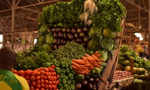 culture and nature of Rwanda