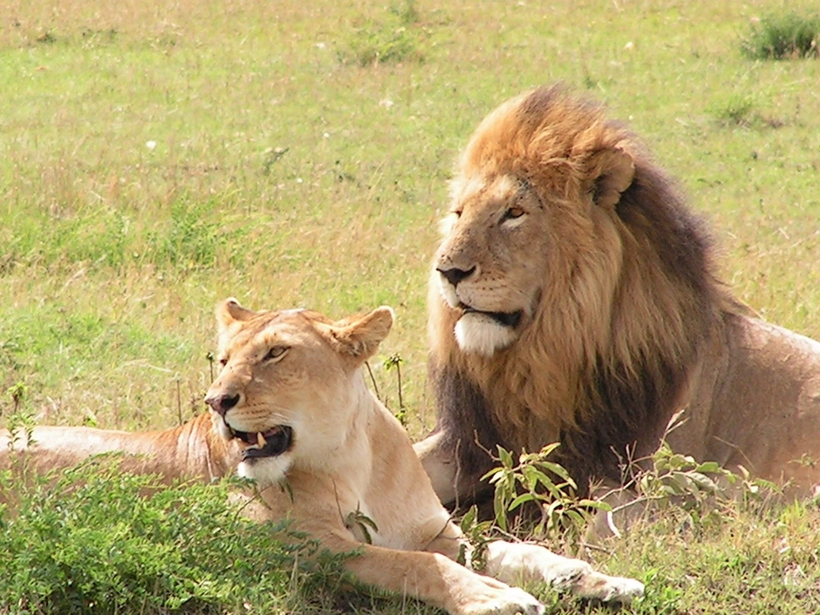 Lake Bunyonyi and Queen Elizabeth National Park Lake Bunyonyi and Queen Elizabeth National Park