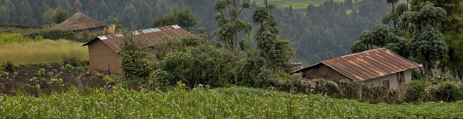 Rwanda Safaris