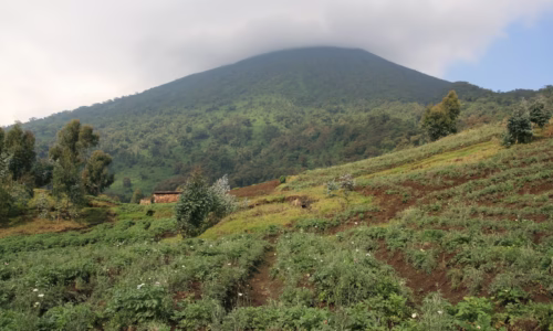 volcanoes national park rwanda
