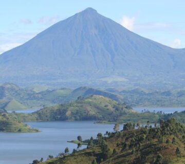 Where Can I See Gorillas and the Big Five in One Trip?