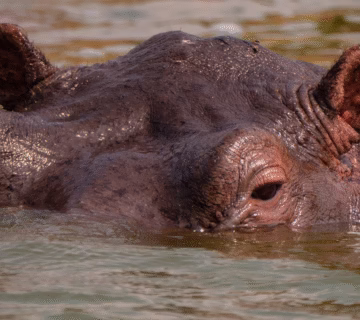 the top five tourist destinations in Uganda in 2025
