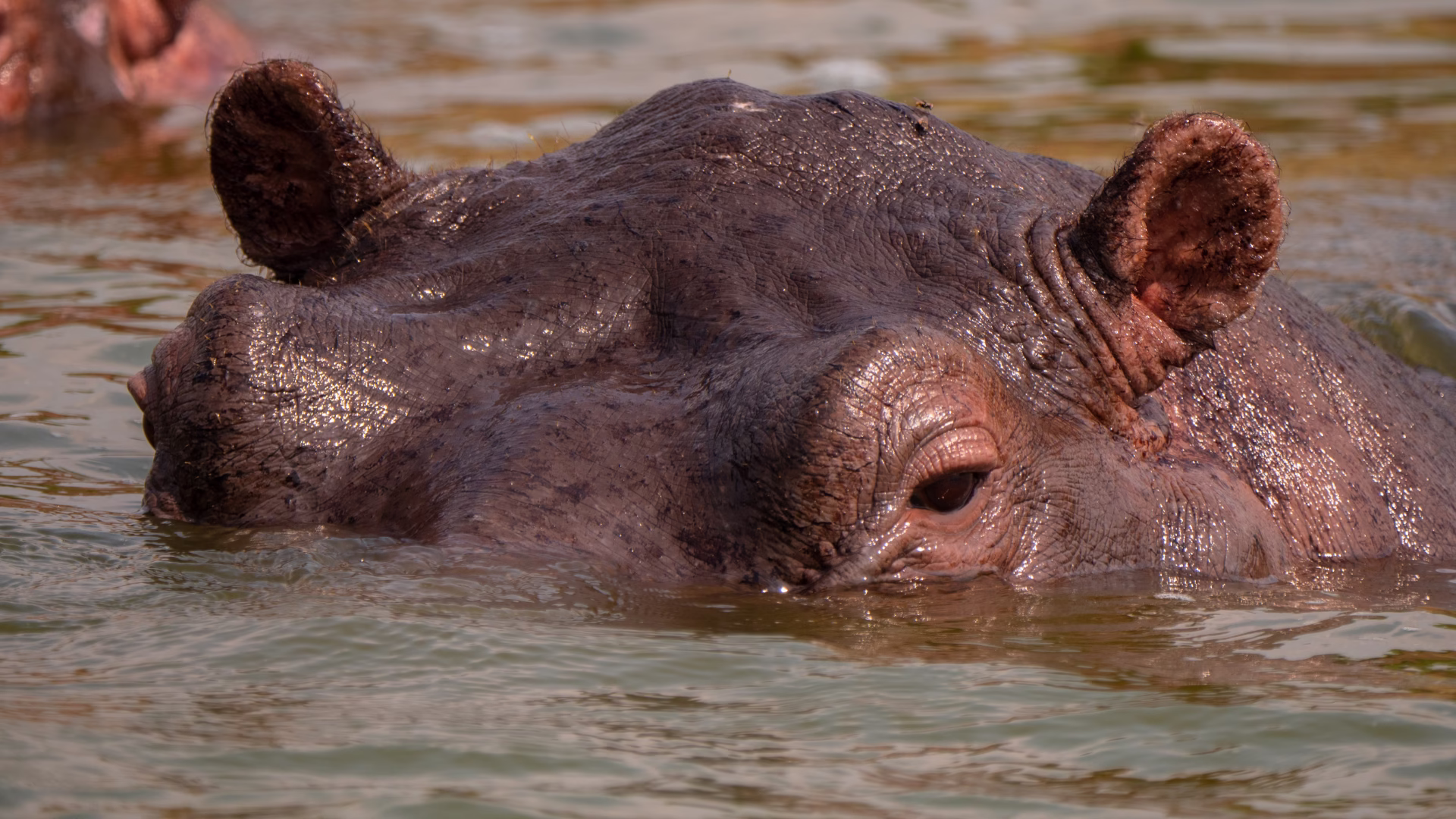 the top five tourist destinations in Uganda in 2025