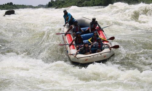 Rafting in jinja