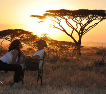 Queen Elizabeth National Park Safari Cost: Complete Guide
