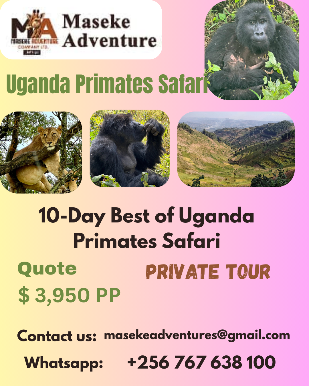 Unforgettable Adventures: A Complete Guide to Gorilla Trekking in Uganda