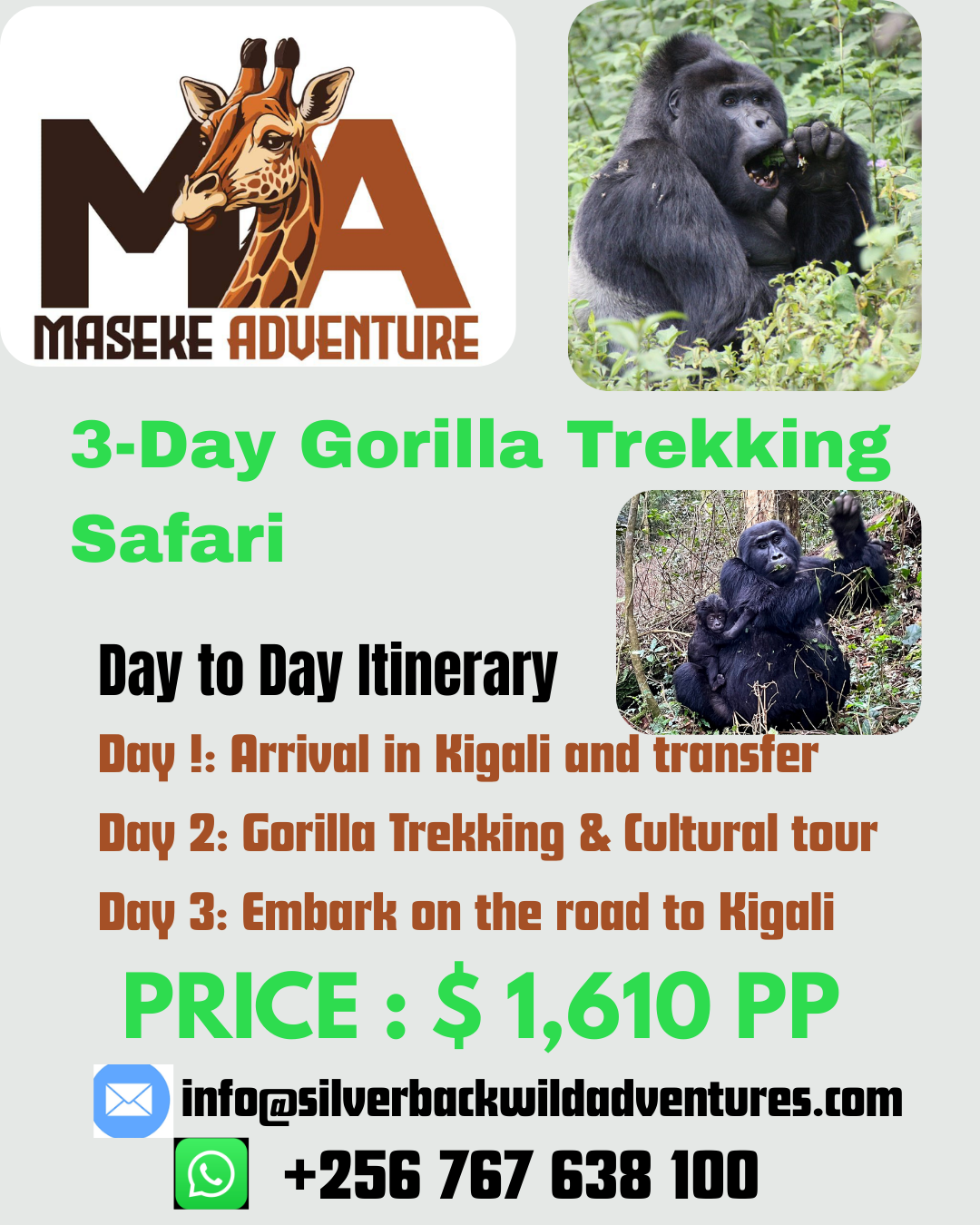 Unforgettable Adventures: A Complete Guide to Gorilla Trekking in Uganda