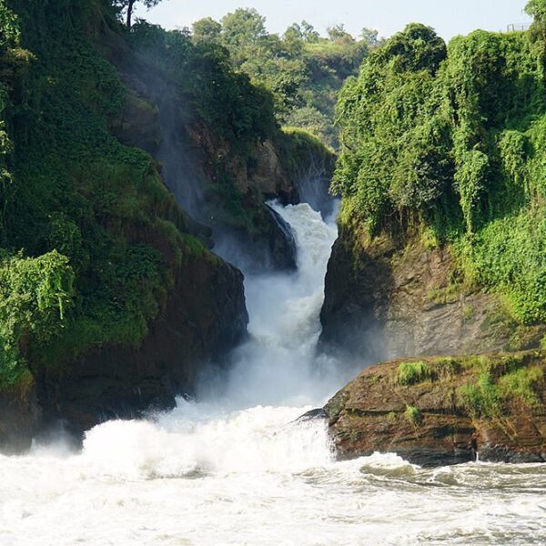 The Best 7 Day Uganda Itinerary on a Budget